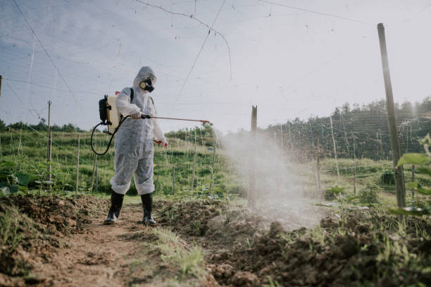 Best Ant Control Services  in Troy, AL
