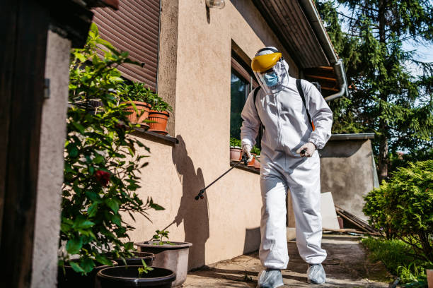 Best Termite Control Services  in Troy, AL
