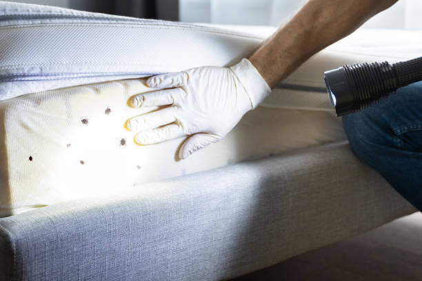 Best Flea Control Services  in Troy, AL