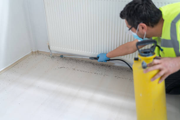 Best Bed Bug Extermination  in Troy, AL